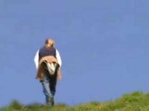 auckland sightseing tours 0 DEVONPORT TOURS