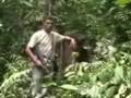 SAKSIKAN - ALAS KUSUMA GROUP MEMBABAT HUTAN LINDUNG - 3