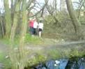 Swamp Jump Legends Swamp Jump Legends