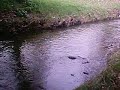 Cosenza-Parco Emoli-Quattromiglia di Rende-