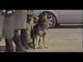 TMBN Riot Control - Early practice