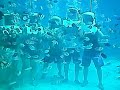 Click here to watch this video Helmet Diving_NEW.avi