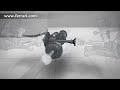 FF - Gearbox (EN)