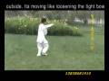 videos de Old eight palms
