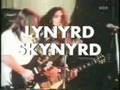 lynyrd skynyrd-sweet home alabama