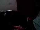 Alemao e Gary