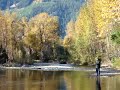 fishing in the fisheries pool