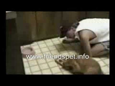 how to administer benadryl to dogs