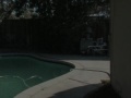 Foreclosure & Short Sale