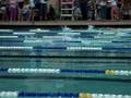 elizabeth's first meet