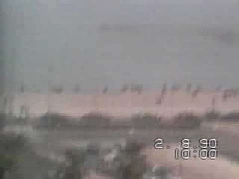See video