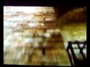 videos de 