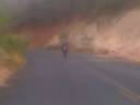 jackson empinando..3gp