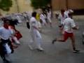 Toro ensogado 5 Teruel