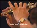 Bill Bailey - BENKO DIXIELAND BAND feat. Border Guard BB