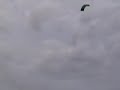 Power Kite Power Kite