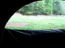 bowkill