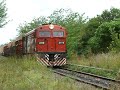 Spanish Alco at Vivero Spanish Alco at Vivero