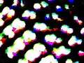 bicycle-tricycle-roking-roky-erickson-songs-with-sumner.html