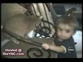 los animales mas divertidos
