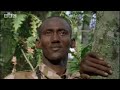 bbc: elephant massacre memory   elephant cave