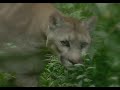 Travel Amazon Lodge - Ecuador Amazon Tours