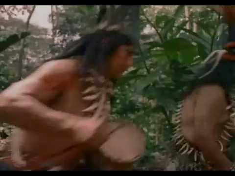 how to travel the amazon
