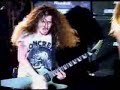 solo pantera