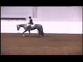 'Only Blue Prints' 2009 AQHA Congress 4th (113 horses shown)