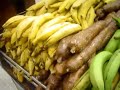 Verduras Ticas Verduras Ticas