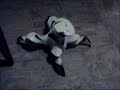 RoboQuad 3 RoboQuad 3
