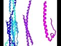 What are the Basic Protein Structures, David?