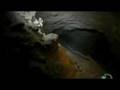Man_Vs_Wild NAMIBIA_part__8-8