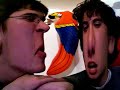 Chums 4ever: part one Chums 4ever: part one