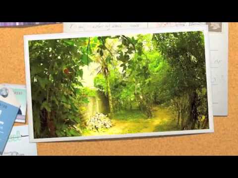Video of Ecotrip Hostel Ubatuba