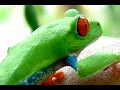 Travel Nicaragua, Nicaragua Travel - Travel Video PostCard