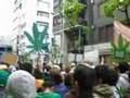 2008 マリファナ マーチ東京 Tokyo Marijuana March (HQ)