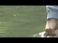 videos de A Beautiful Dream -A River Runs Through It tribute-: Fly Fishing Italy