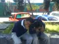los marihuanos de la 103