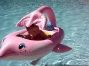 CAMILA IN THE POOL