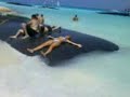 riu yucatan jessy riu yucatan jessy