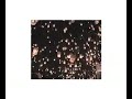 Shunji Iwai\
