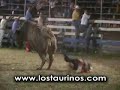 LOS TAURINOS MONTA TOROS COSTA RICA TORO EL ROSARIO LOS TAURINOS MONTA TOROS COSTA RICA TORO EL ROSARIO