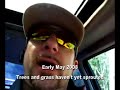 Ep. 3 - Transplant Trees - Emerald Ash Borer