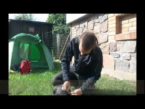 Projekt Blackpaws - stypendiumzwyboru.pl