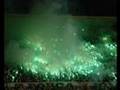 KANINO - DZO - FORÇA JOVEM GOIAS