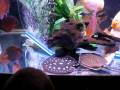 videos de second sale pics 011.AVI
