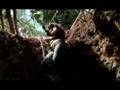 Addicted to Lost