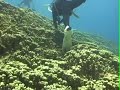 Please Dive Responsibly Please Dive Responsibly