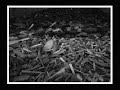 Auschwitz / Birkenau Holocaust Memorial Auschwitz / Birkenau Holocaust Memorial